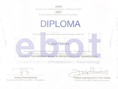 ebot diploma